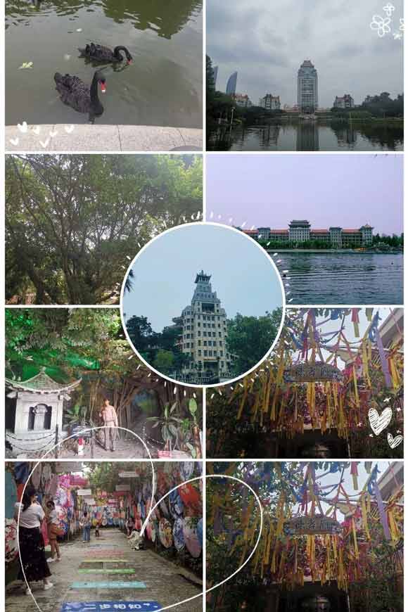 20200407/5e8beb1722329.jpg 15.jpg