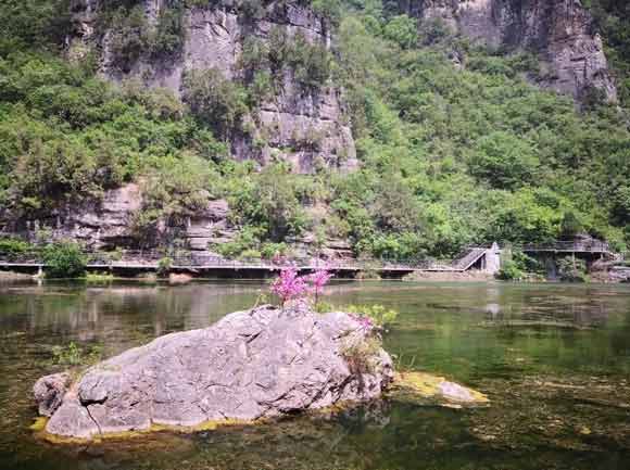 20200407/5e8c13c681a8d.jpg 4.jpg