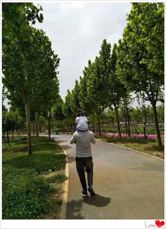 20200407/5e8c13f940a9a.jpg 8.jpg