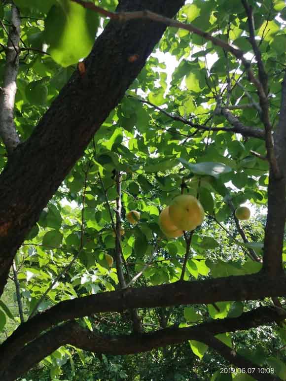 20200407/5e8c14381edc8.jpg 14.jpg