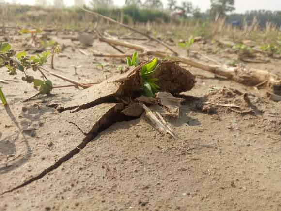 20200407/5e8c145275b9d.jpg 17.jpg