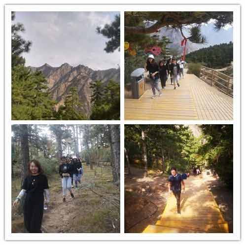 20200407/5e8c16f912c29.jpg 2.jpg