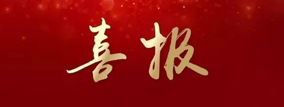 喜報(bào) | 正誠(chéng)咨詢集團(tuán)喜獲龍湖集團(tuán)鄭州公司“地區(qū)戰(zhàn)略合作單位”榮譽(yù)