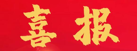 喜報(bào) | 正誠(chéng)咨詢喜獲金地集團(tuán)西部區(qū)域“優(yōu)秀合作方”榮譽(yù)