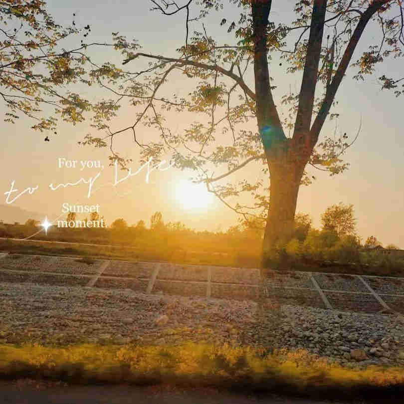 20220411/6253f2f025848.jpg 20220411/6253f2f025848.jpg