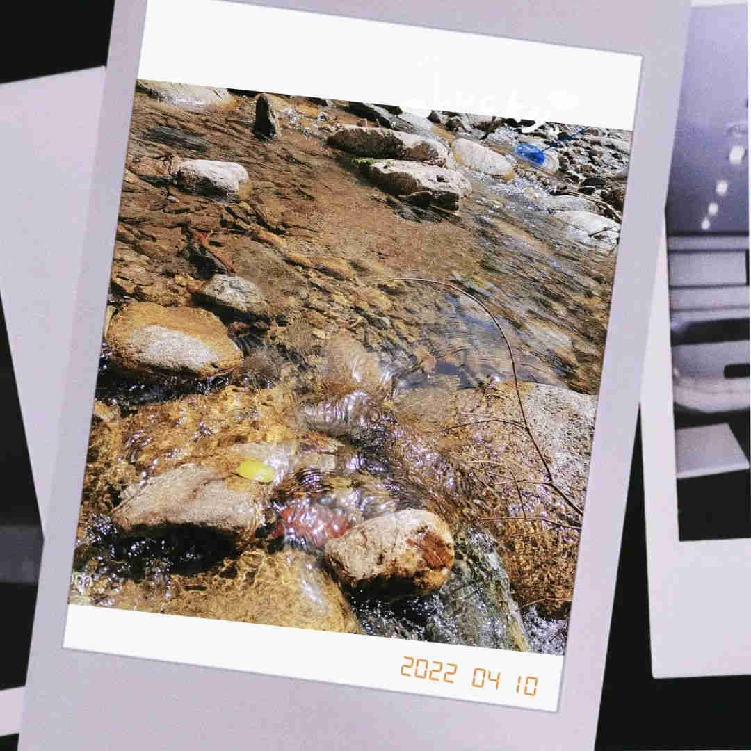 20220411/6253f3045ff66.jpg 20220411/6253f3045ff66.jpg