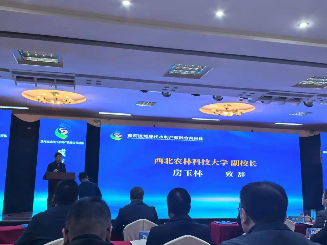 20250110/6780dabbb8803.jpg 113(1).jpg